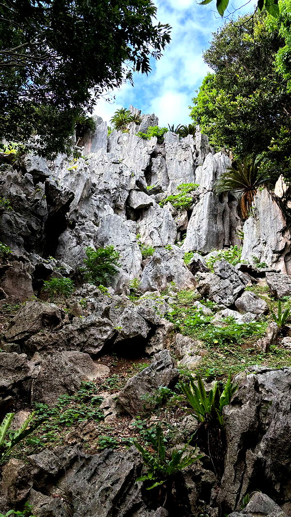 joell_perry image ~ Altpins