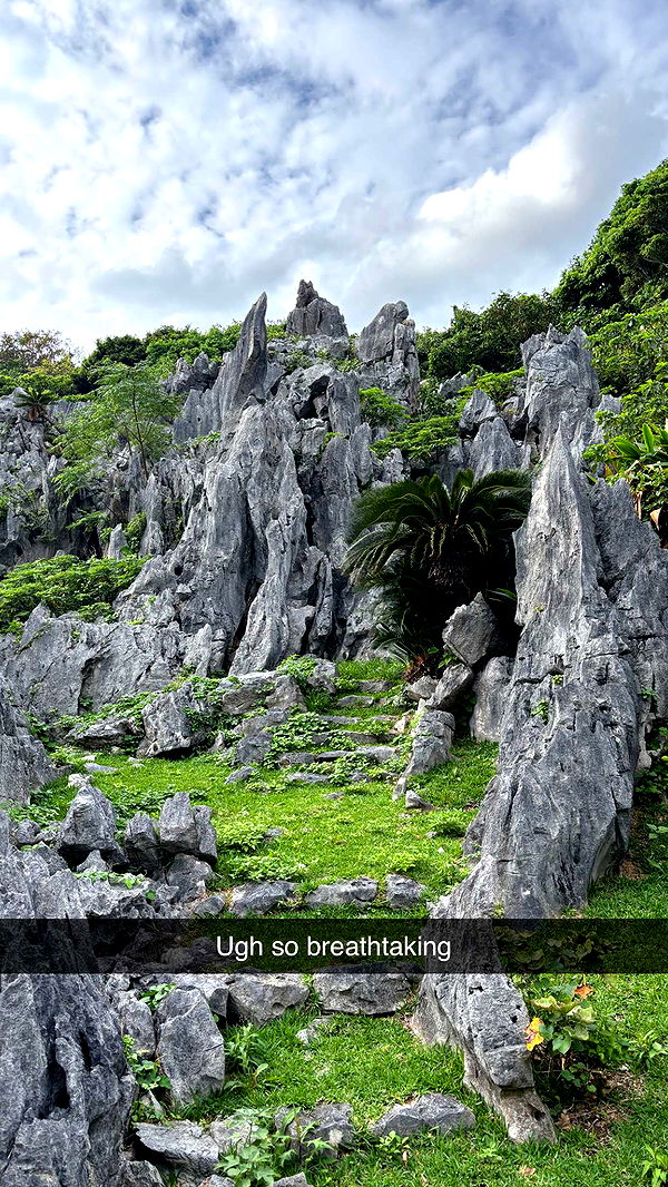 joell_perry image ~ Altpins