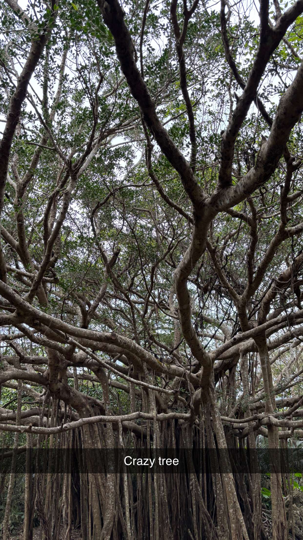 joell_perry snapchat image archive image