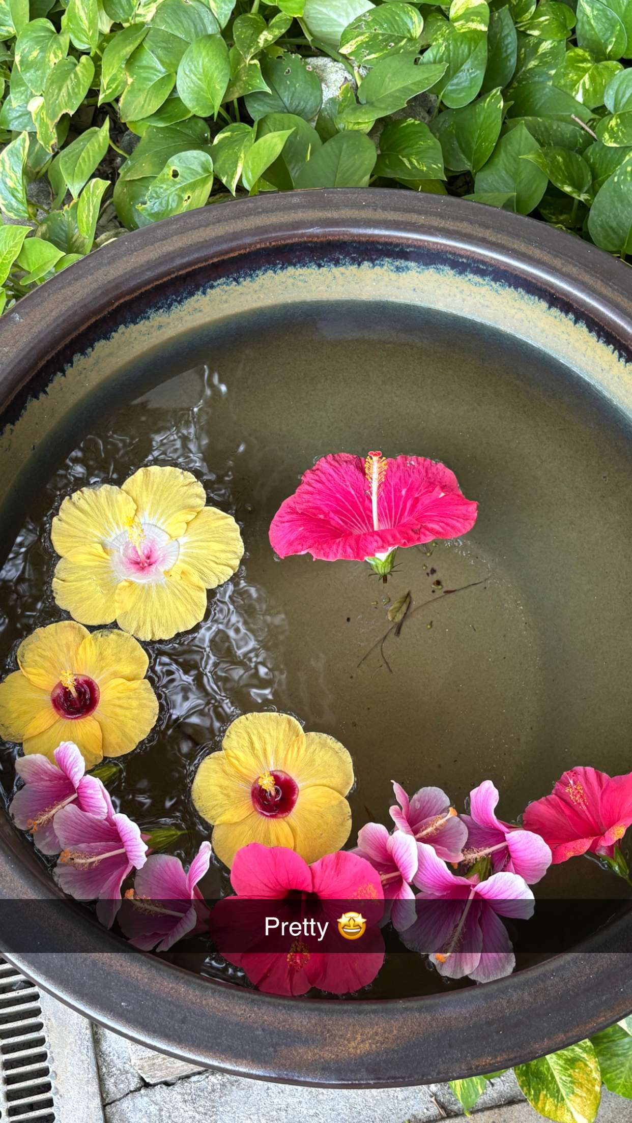 joell_perry snapchat image archive image