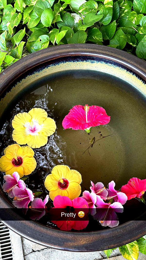 joell_perry image ~ Altpins