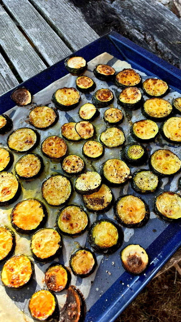 joell_perry image ~ Altpins