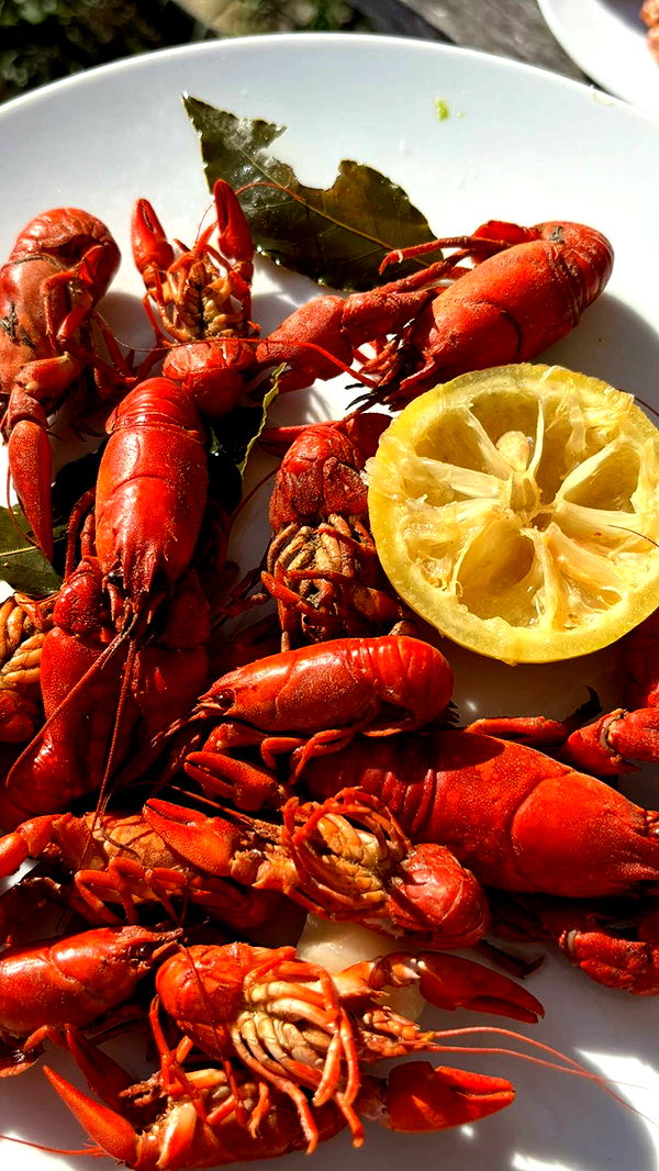 joell_perry image ~ Altpins