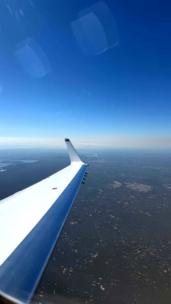 julia.filippo image ~ Altpins