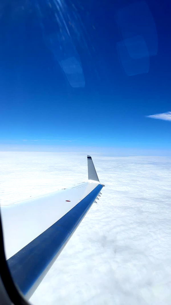 julia.filippo image ~ Altpins