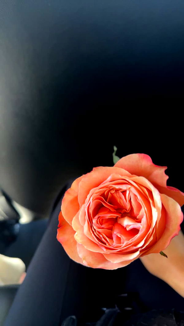 julia.filippo image ~ Altpins