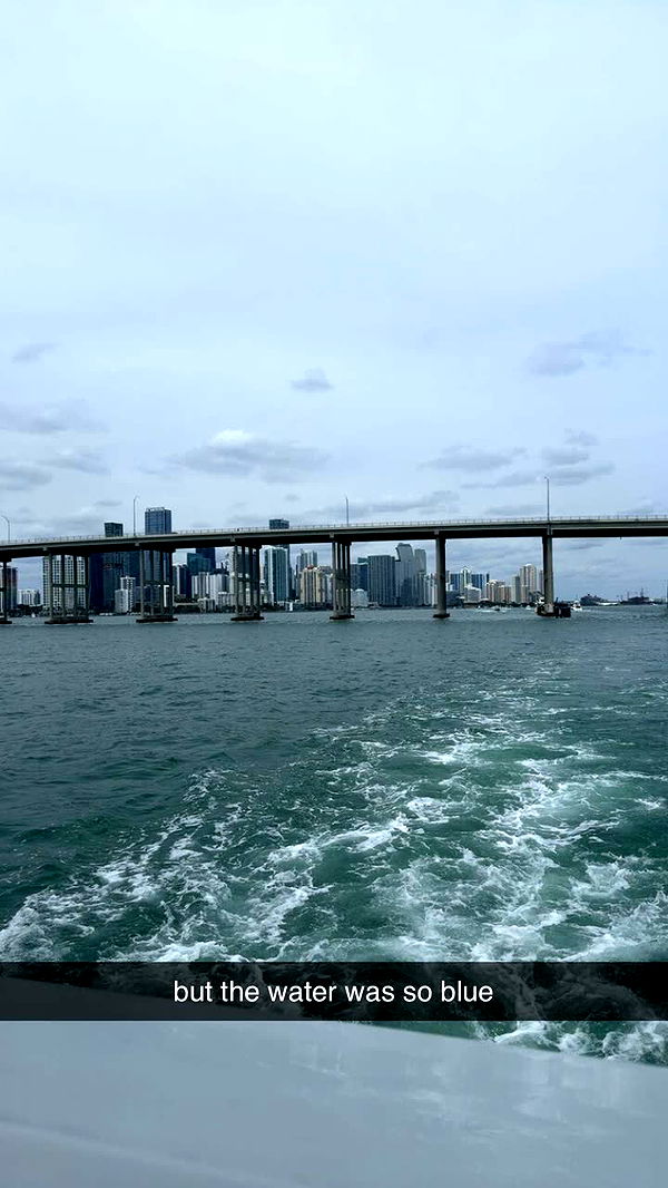 julia.filippo image ~ Altpins