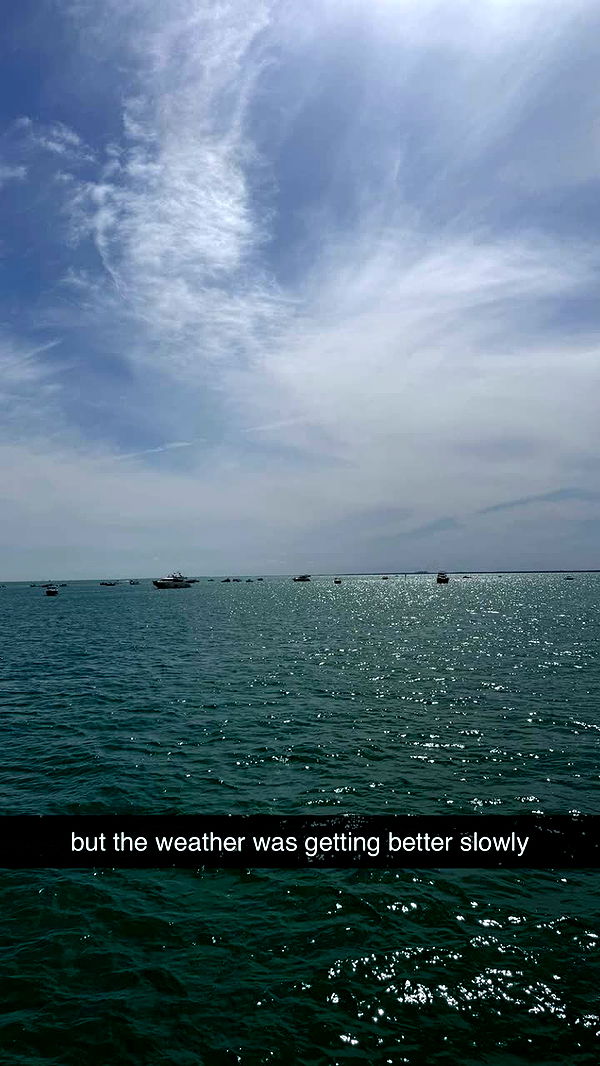 julia.filippo image ~ Altpins