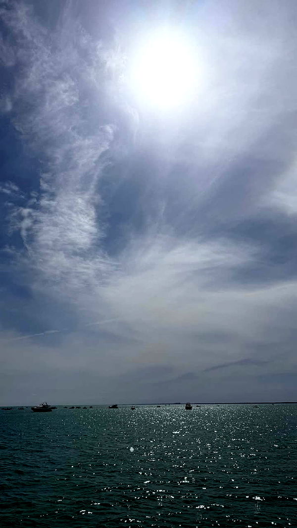 julia.filippo image ~ Altpins