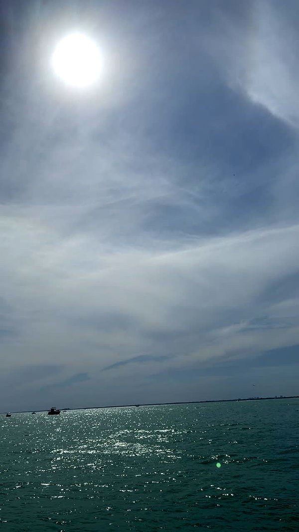 julia.filippo image ~ Altpins