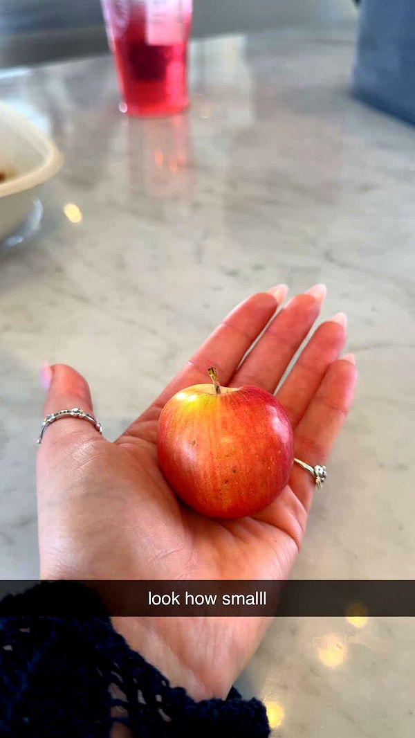 julia.filippo image ~ Altpins