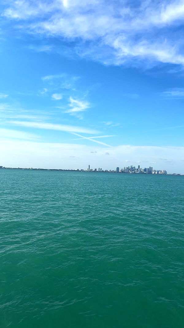 julia.filippo image ~ Altpins