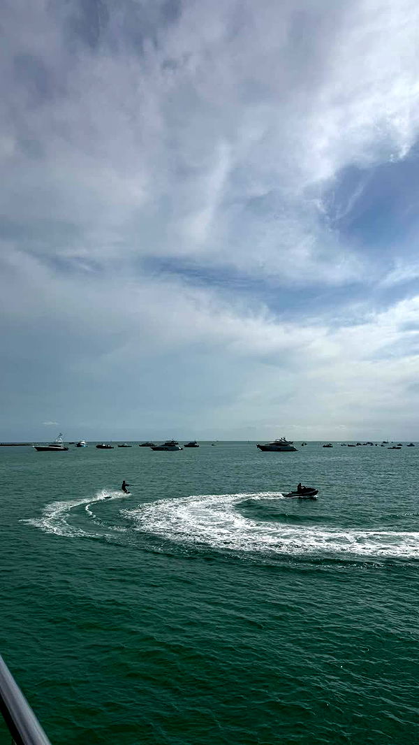 julia.filippo image ~ Altpins