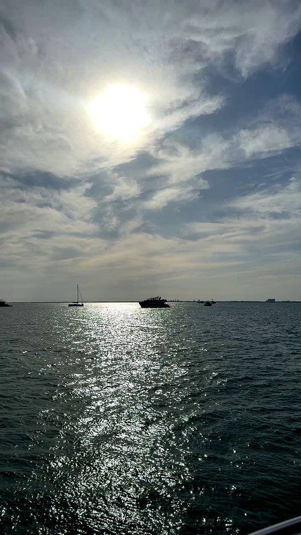 julia.filippo image ~ Altpins