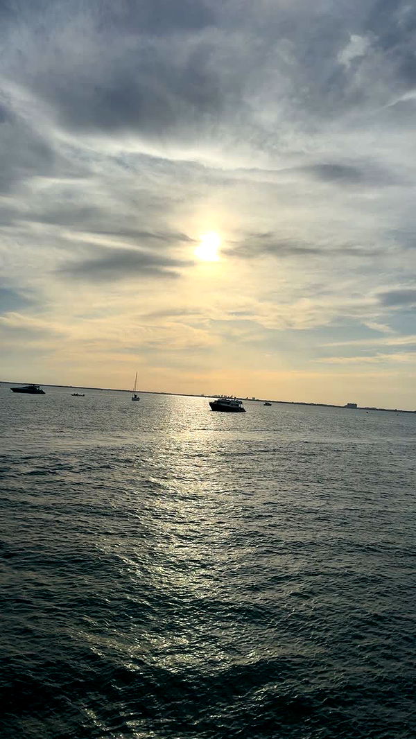 julia.filippo image ~ Altpins