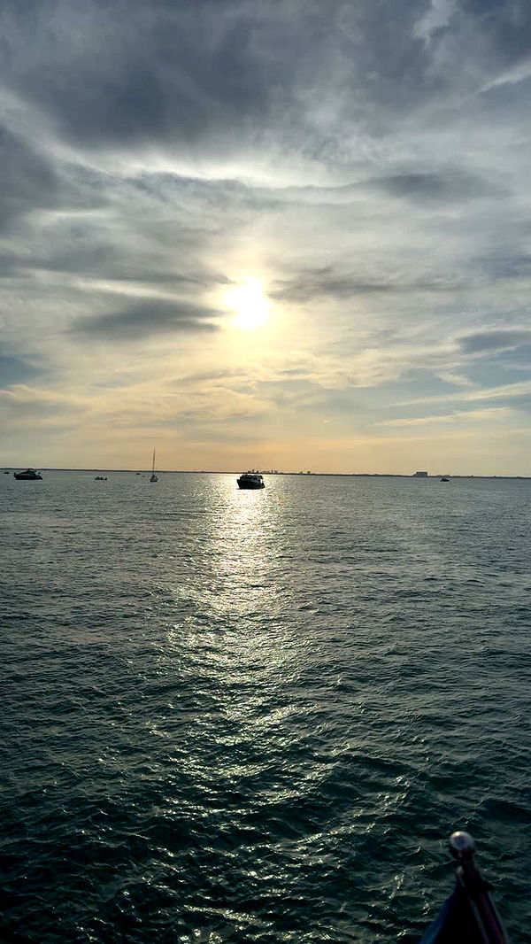 julia.filippo image ~ Altpins