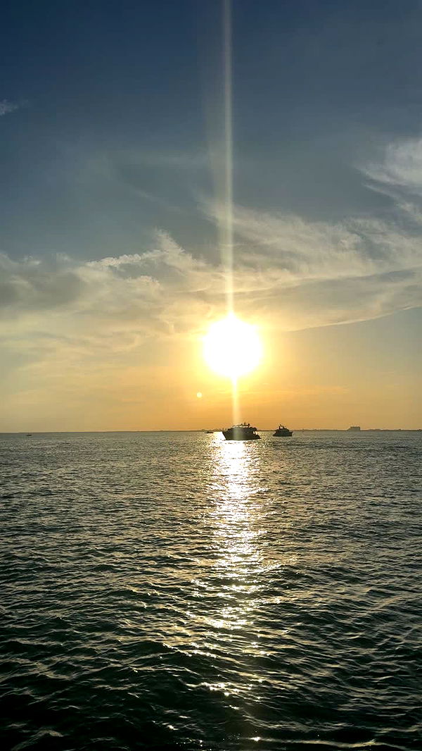 julia.filippo image ~ Altpins