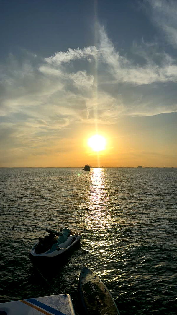 julia.filippo image ~ Altpins