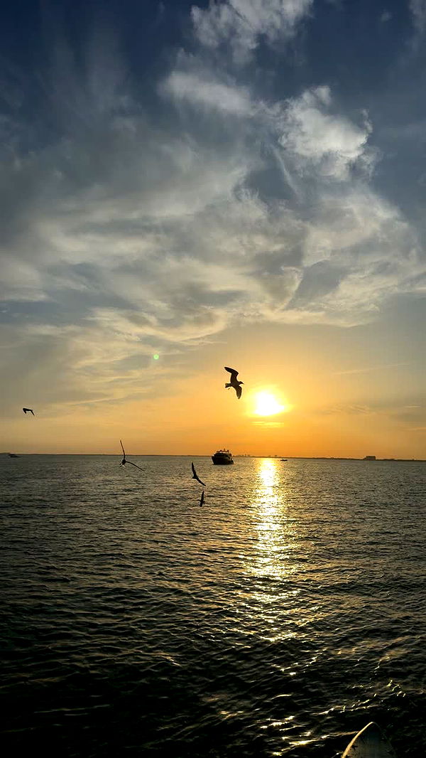 julia.filippo image ~ Altpins