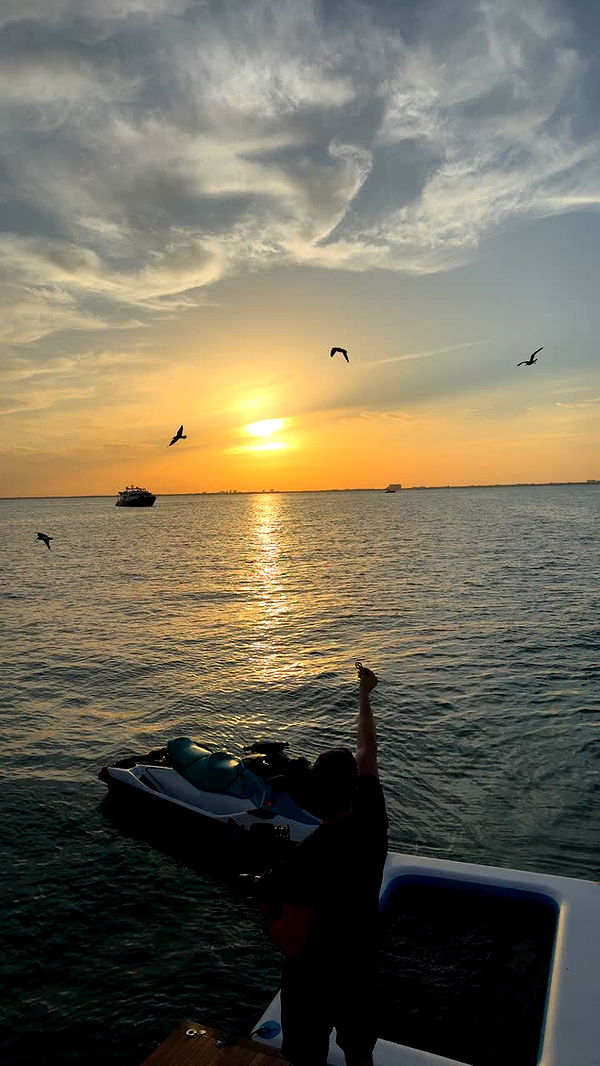 julia.filippo image ~ Altpins