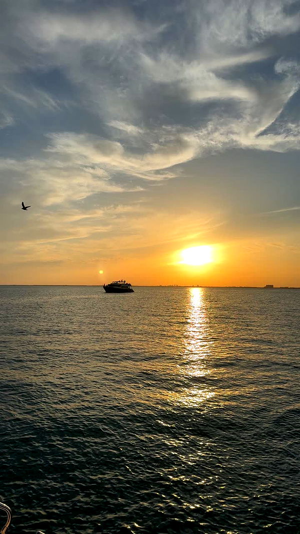 julia.filippo image ~ Altpins