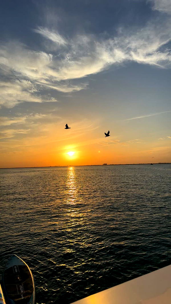 julia.filippo image ~ Altpins