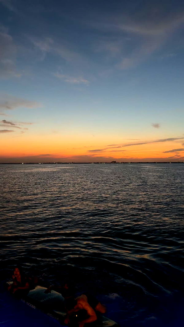 julia.filippo image ~ Altpins