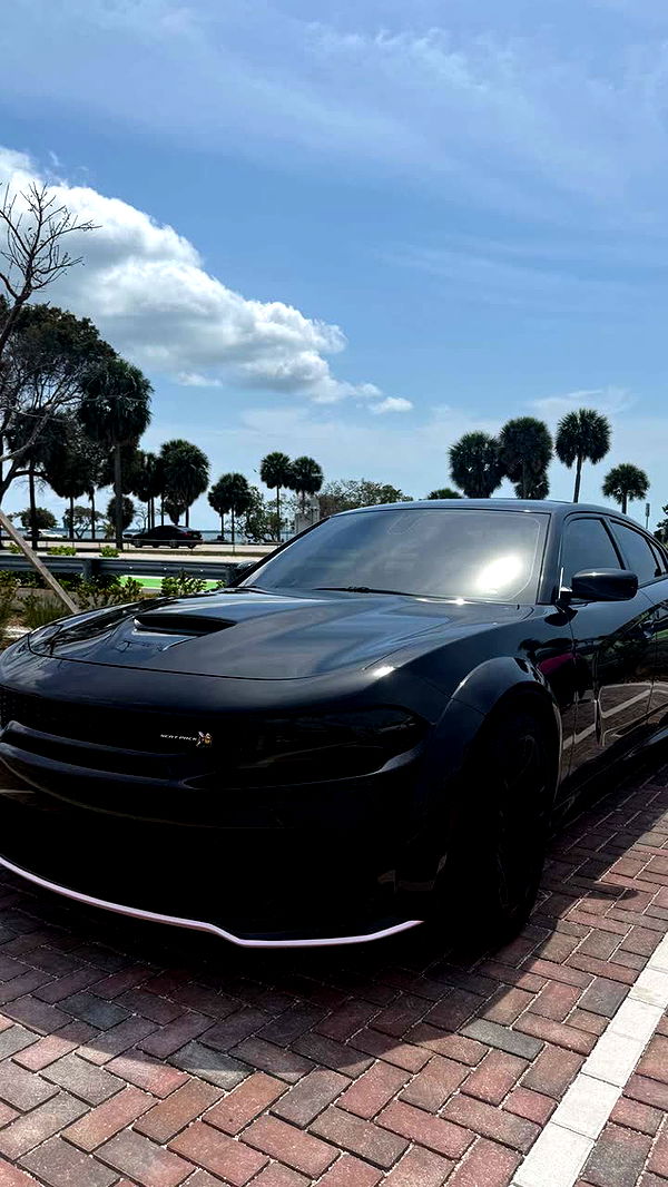 julia.filippo image ~ Altpins