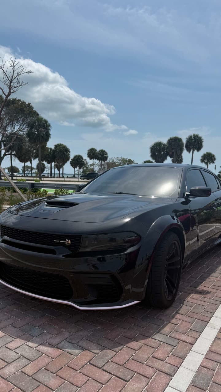 julia.filippo snapchat image archive image