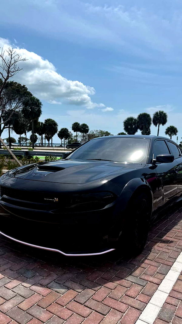 julia.filippo image ~ Altpins