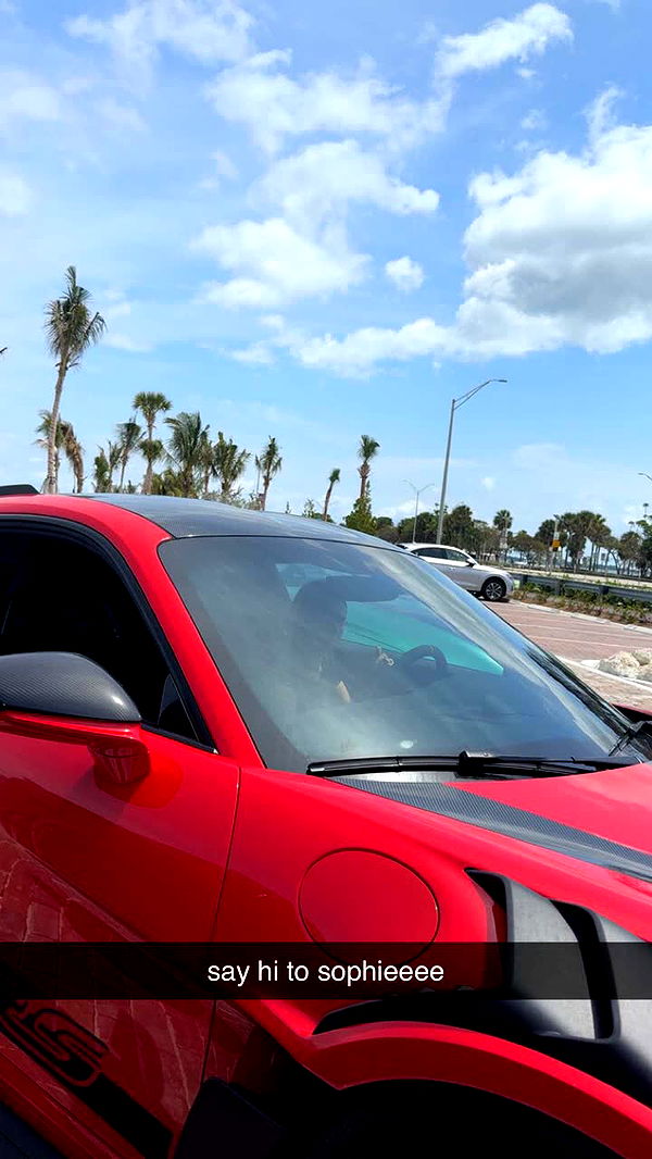 julia.filippo image ~ Altpins