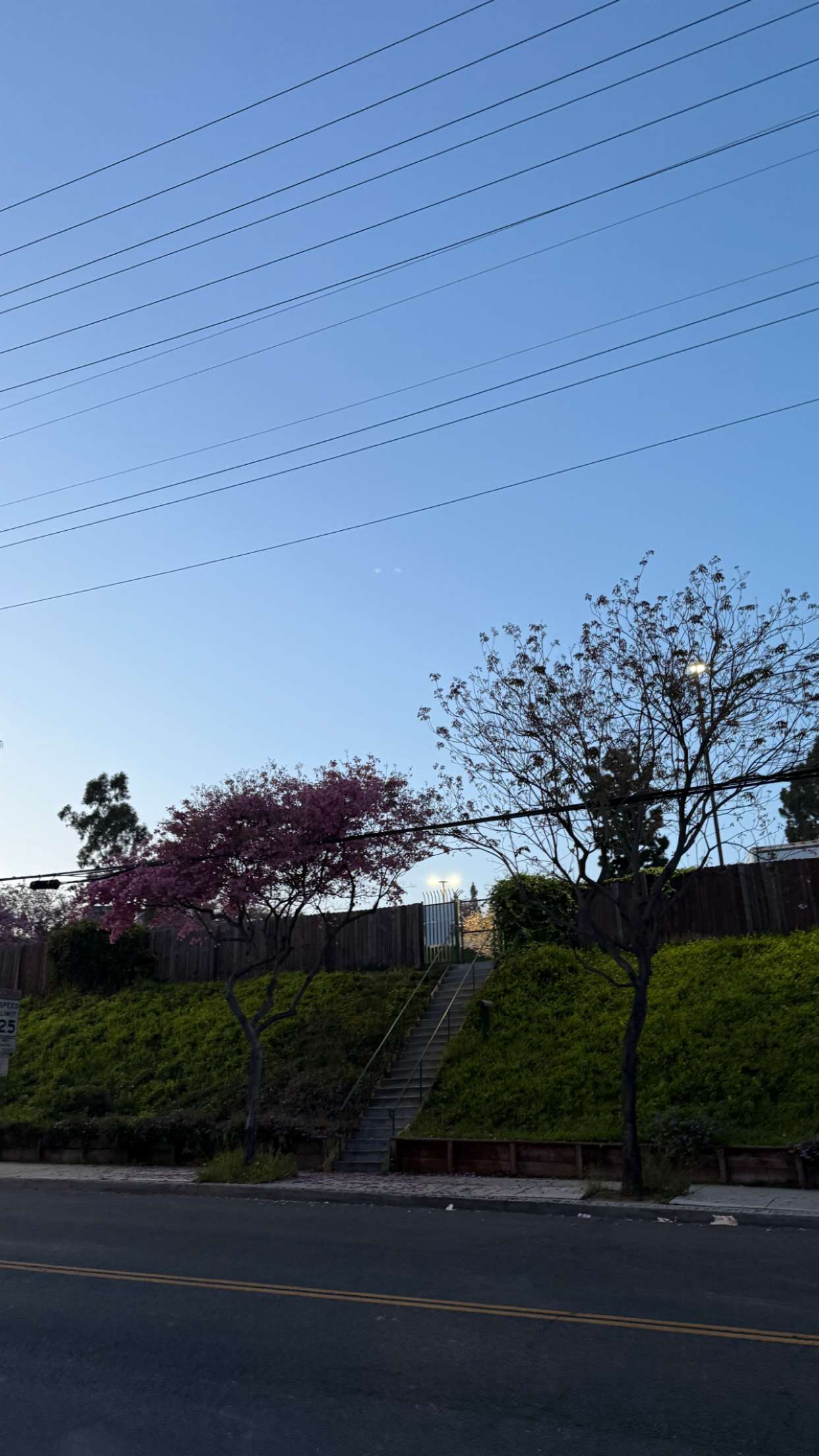 julia.filippo snapchat image archive image