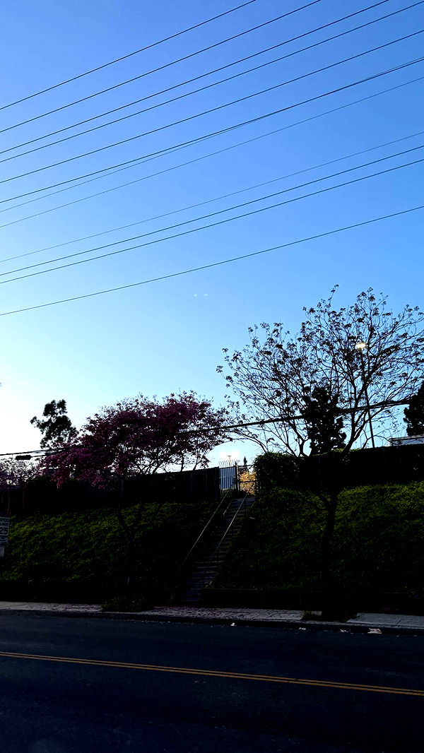 julia.filippo image ~ Altpins