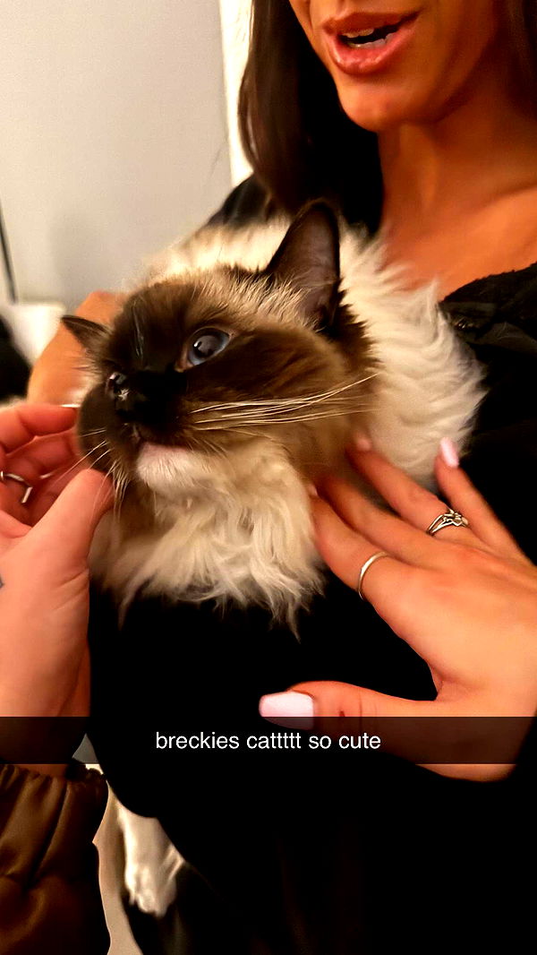 julia.filippo image ~ Altpins