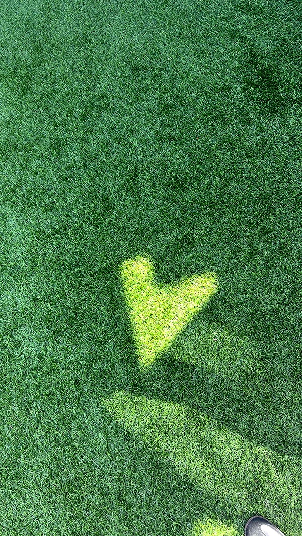 julia.filippo image ~ Altpins