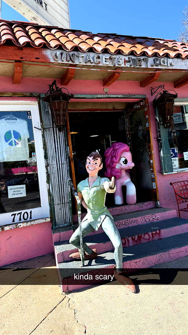 julia.filippo image ~ Altpins