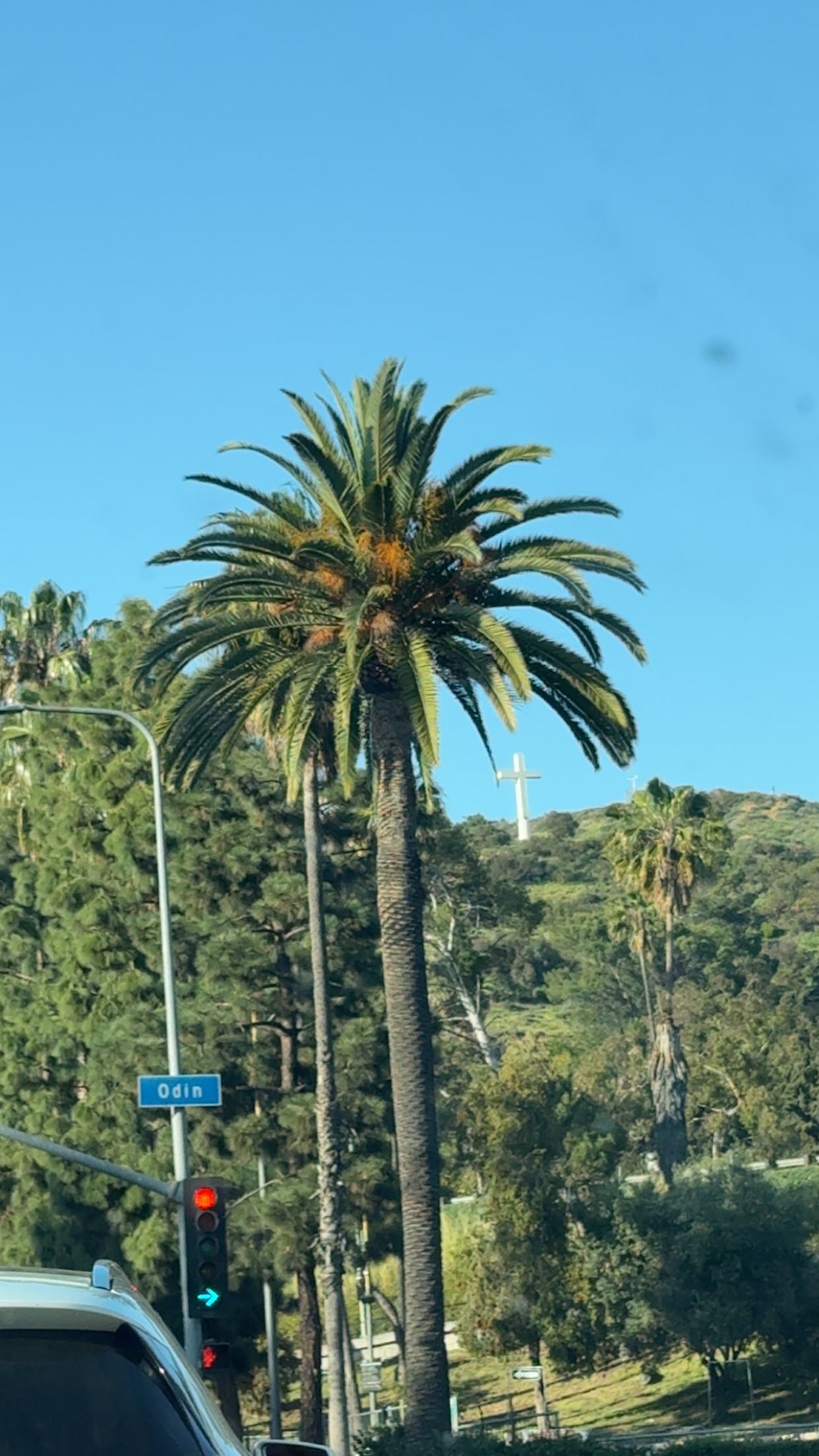 julia.filippo snapchat image archive image