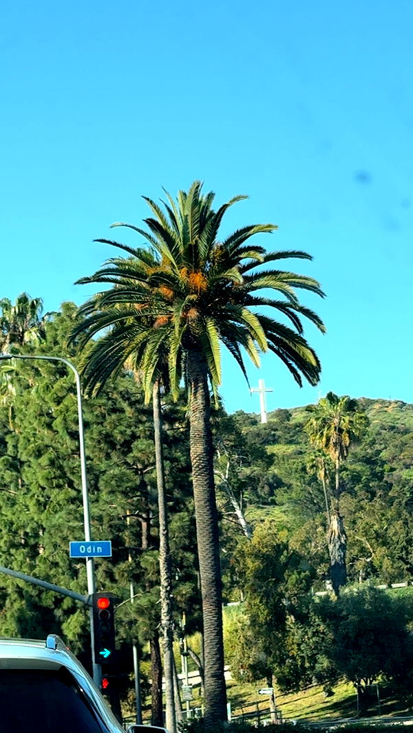 julia.filippo image ~ Altpins