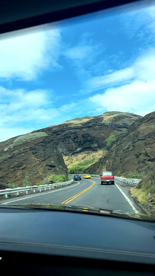 julia.filippo image ~ Altpins