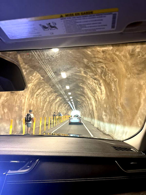 julia.filippo image ~ Altpins