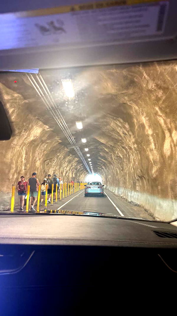 julia.filippo image ~ Altpins