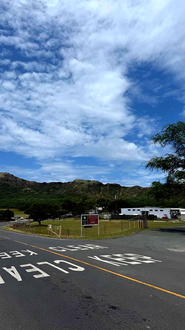 julia.filippo image ~ Altpins