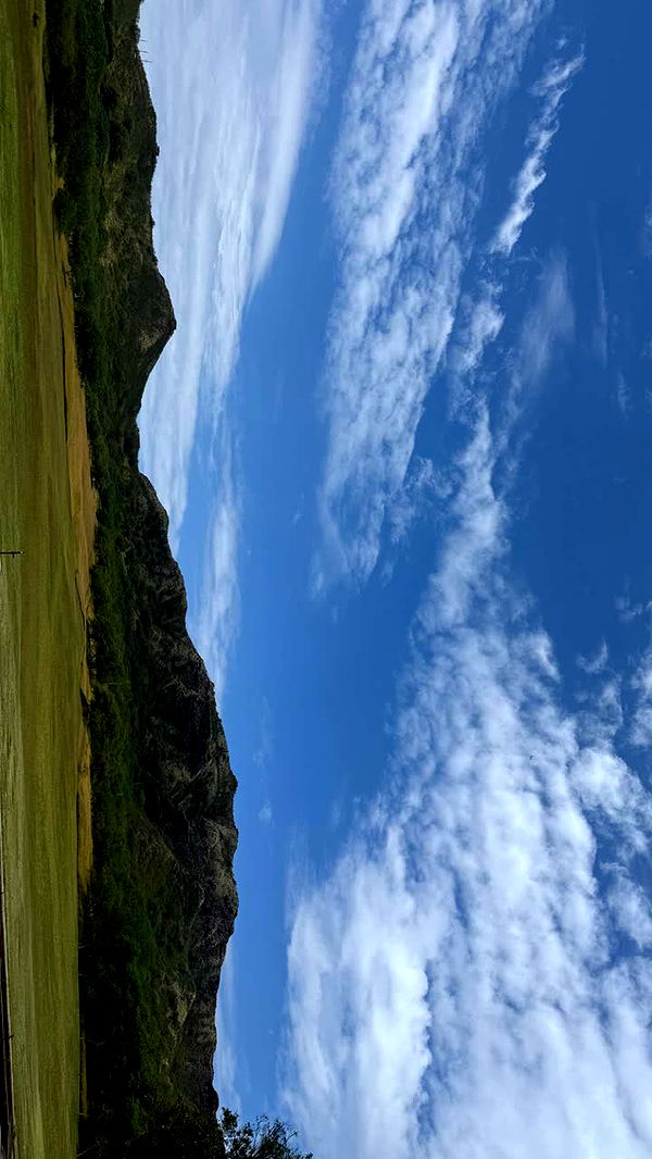 julia.filippo image ~ Altpins