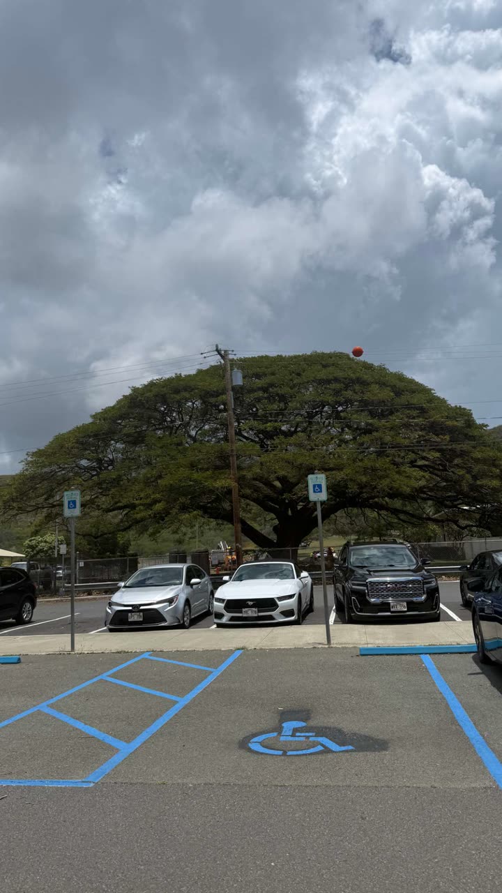 julia.filippo snapchat image archive image