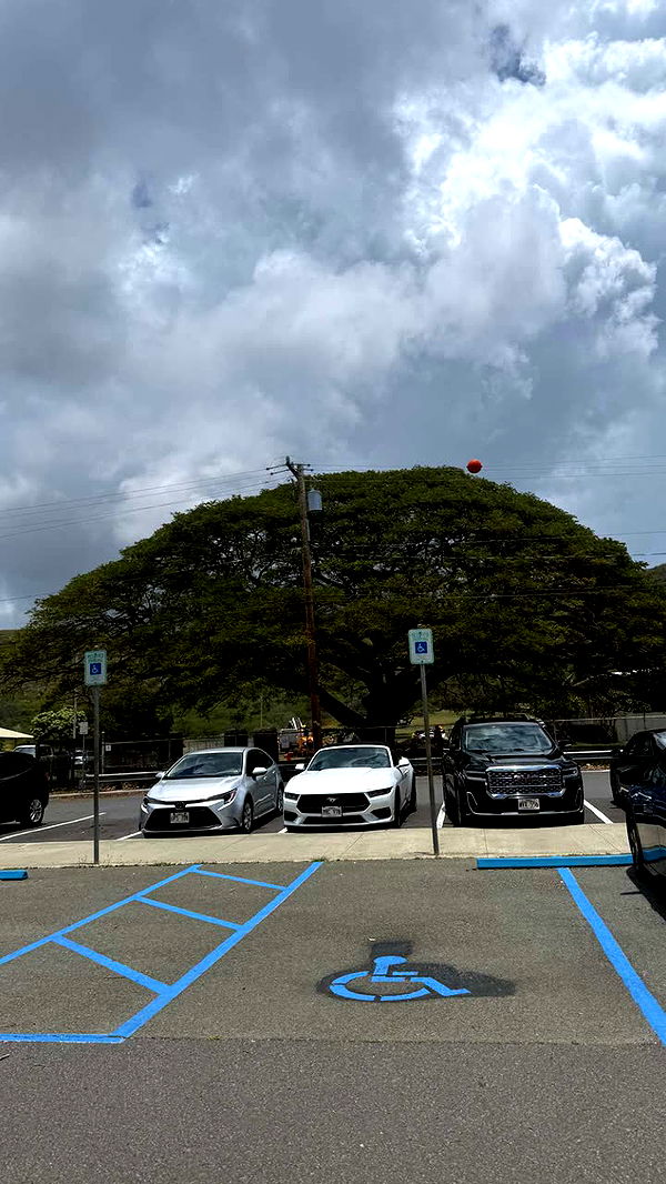 julia.filippo image ~ Altpins