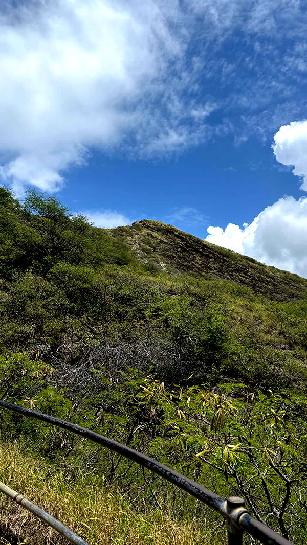 julia.filippo image ~ Altpins