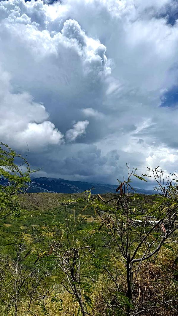 julia.filippo image ~ Altpins