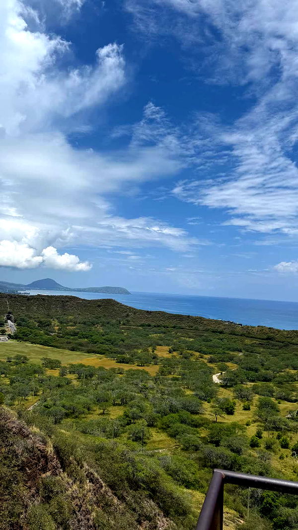 julia.filippo image ~ Altpins