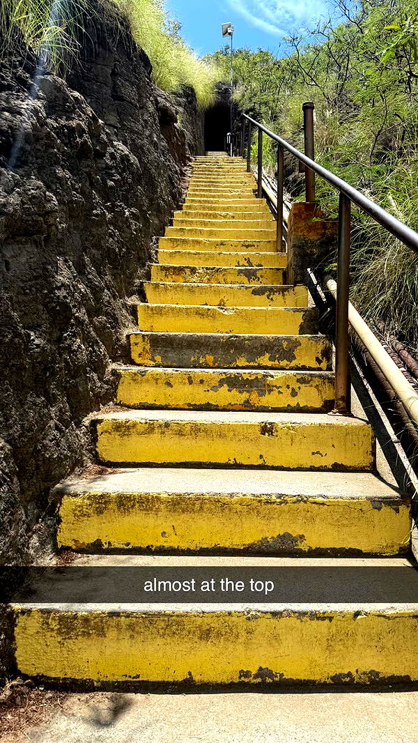 julia.filippo image ~ Altpins