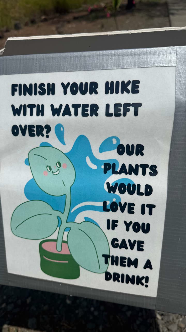 julia.filippo snapchat image archive image